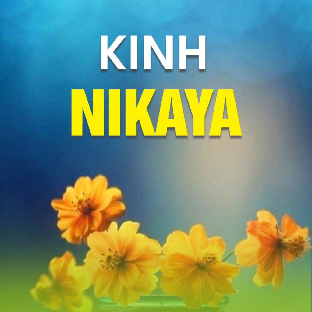 kinh-nikaya